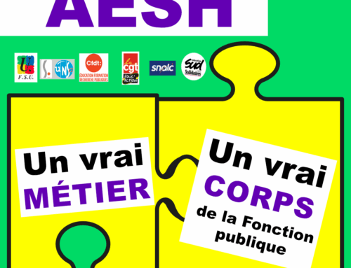 PETITION « AESH : un vrai métier, un vrai statut ! »
