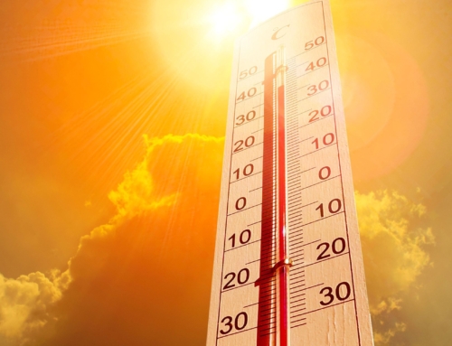 Canicule : les écoles, collèges et lycées en surchauffe, la rénovation écologique du bâti scolaire public est une urgence !