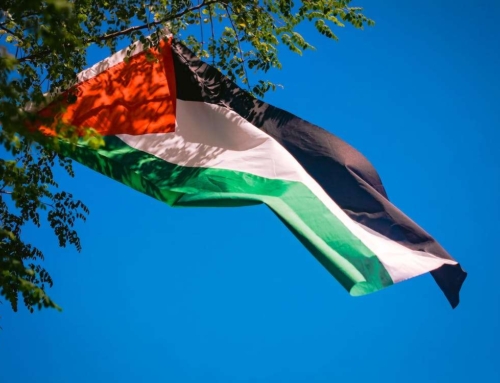 A Gaza et en Cisjordanie, la France doit agir !