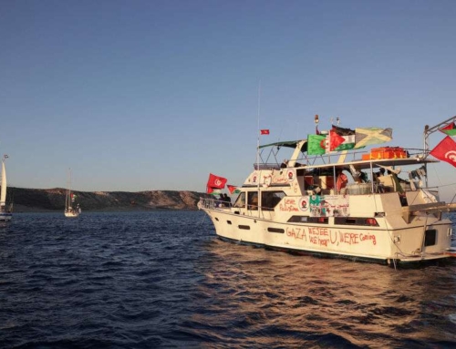 Soutien à la global sumud flotilla : face à un génocide, l’action est la seule solution