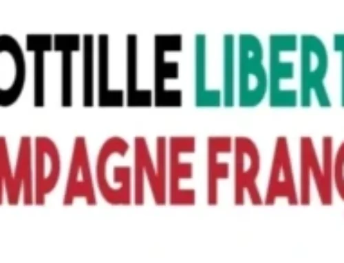La FSU s&rsquo;inscrit dans la campagne française de la Flottille Liberté pour Gaza